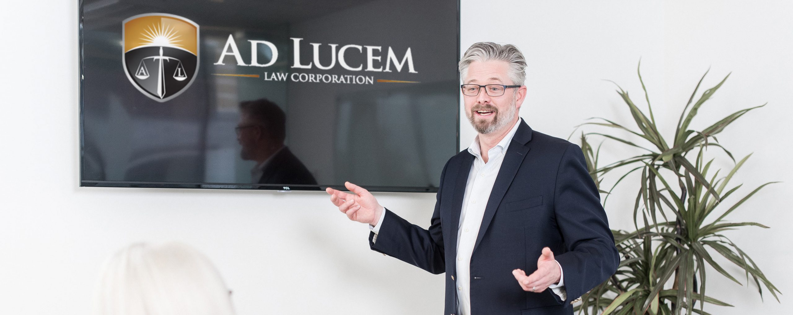 ad lucem consulting services